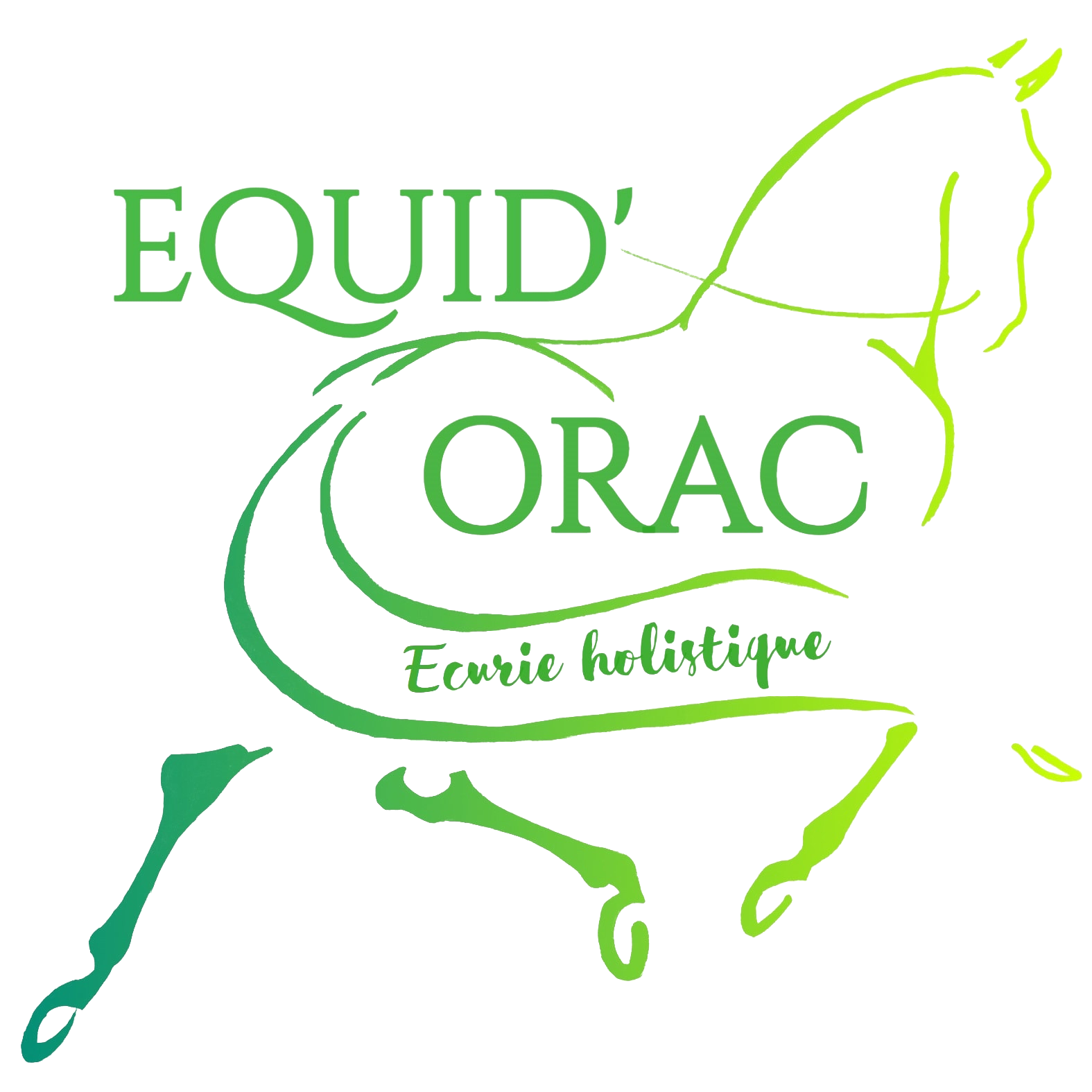 Logo Equid'Orac Ecurie holistique Fresquiennes